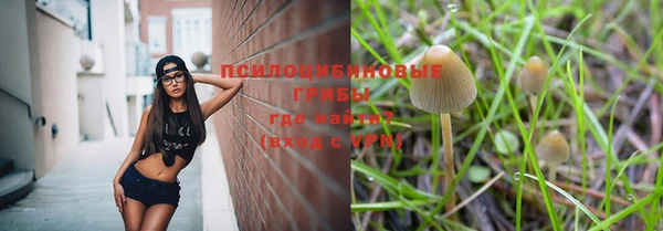 соль ск Алзамай